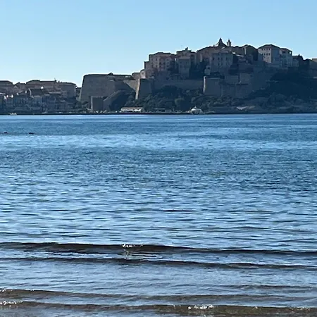 T2 Dans Neuve Avec Piscine Calvi (Corsica)