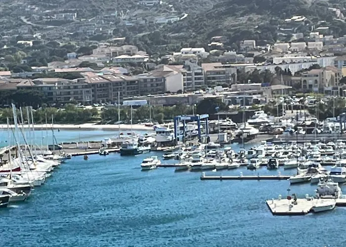 T2 Dans Neuve Avec Piscine Calvi (Corsica)