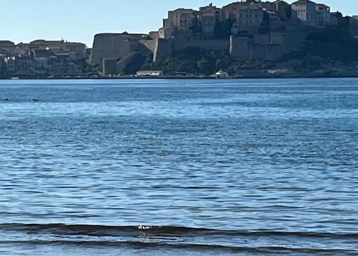 T2 Dans Neuve Avec Piscine Calvi (Corsica)